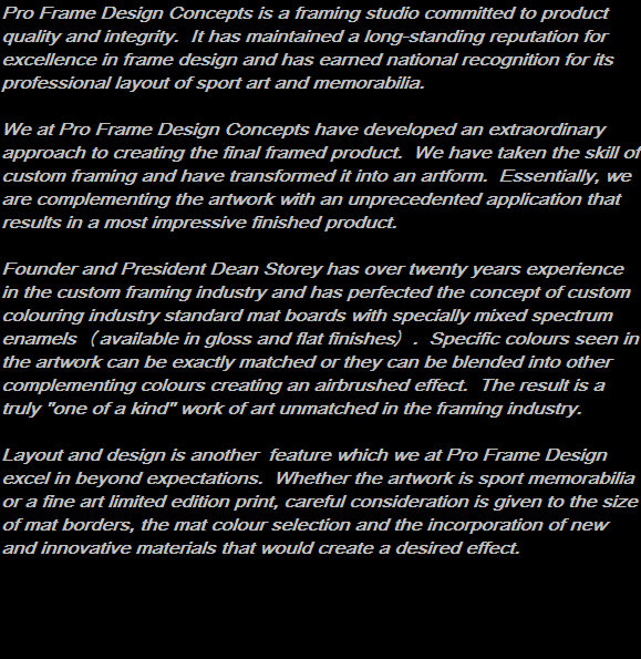 pro_frame_design_concepts_inc_website_2002034.jpg