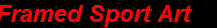pro_frame_design_concepts_inc_website_2003032.jpg