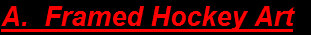 pro_frame_design_concepts_inc_website_2004031.jpg