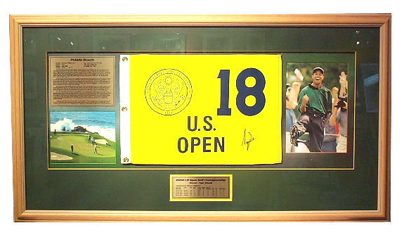 pro_frame_design_concepts_inc_website_2005054.jpg