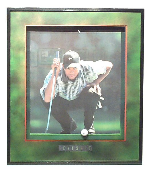 pro_frame_design_concepts_inc_website_2005055.jpg