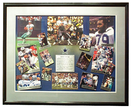 pro_frame_design_concepts_inc_website_2006009.jpg