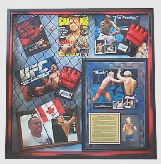 pro_frame_design_concepts_inc_website_2007002.jpg