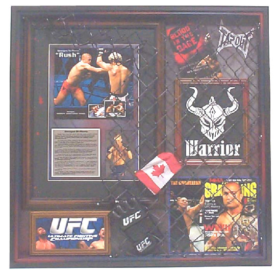pro_frame_design_concepts_inc_website_2007003.jpg