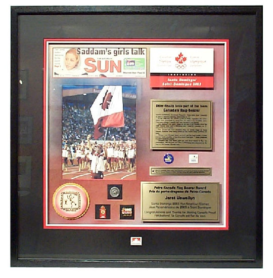 pro_frame_design_concepts_inc_website_2010002.jpg