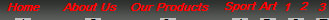 pro_frame_design_concepts_inc_website_2010033.jpg